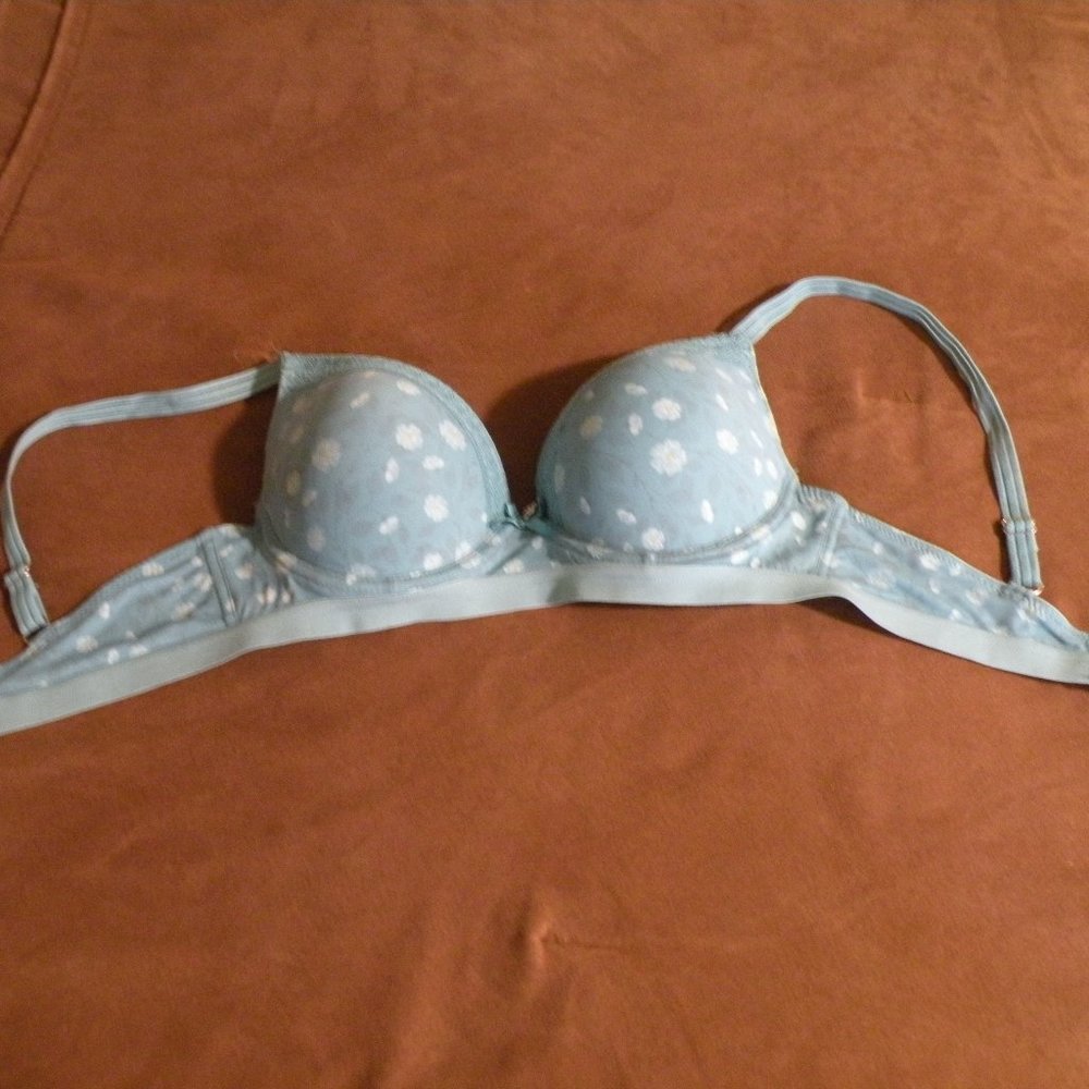Daisey Fuentes push up bra